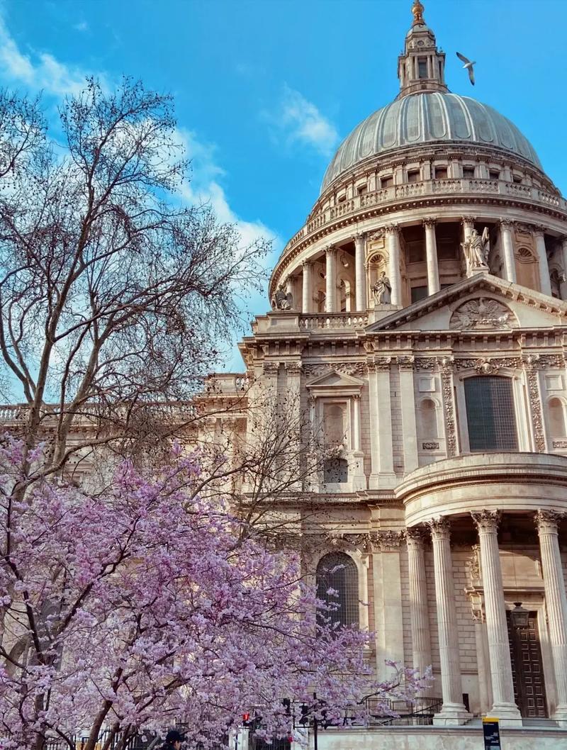 麦克马斯特大学